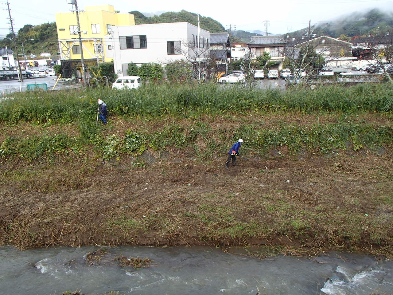 伐木・除草工事